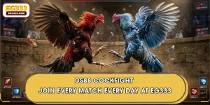 DS88 Cockfight - Join Every Match Every Day At EG333