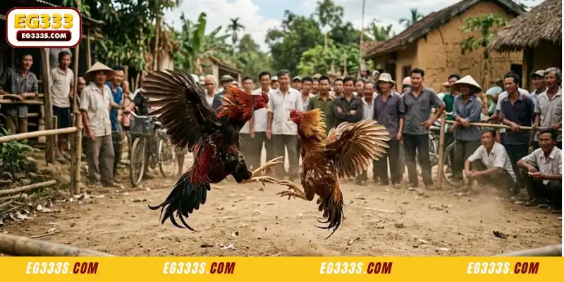 Inside the WS168 Cockfight Ecosystem