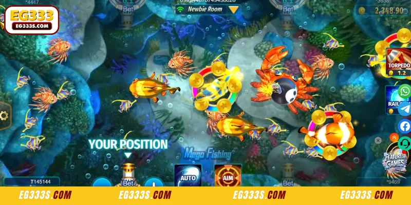 Overview of Mega Fishing