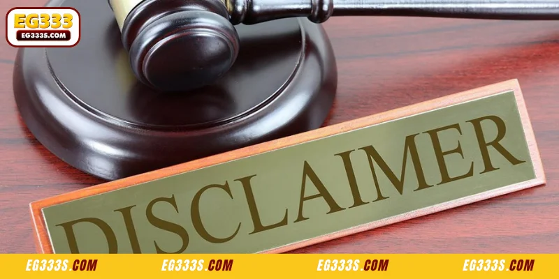 Overview of the EG333 Disclaimer