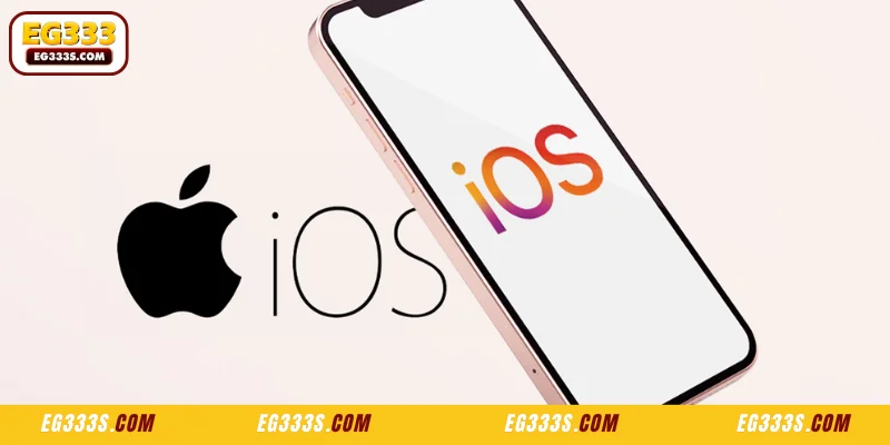 Requirements for installing the EG333 app
