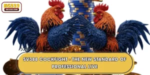 SV388 Cockfight - The New Standard of Professional Live