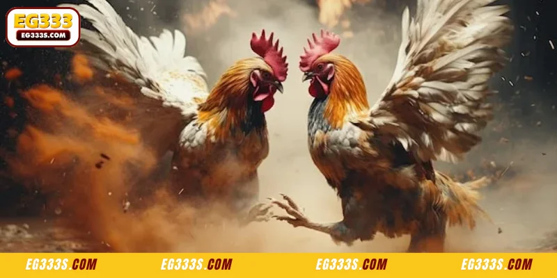 Technical Mastery in SV388 Cockfight Platform