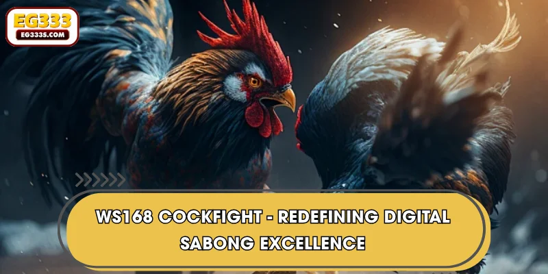 WS168 Cockfight - Redefining Digital Sabong Excellence